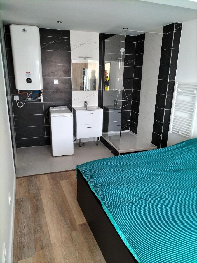Appartement 2 pièces Rive-de-Gier Extérieur photo